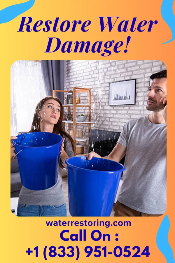water restoration Eco Water Removal Experts Birmingham