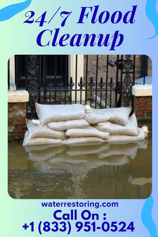24/7 Flood Cleanup in Birmingham, MI