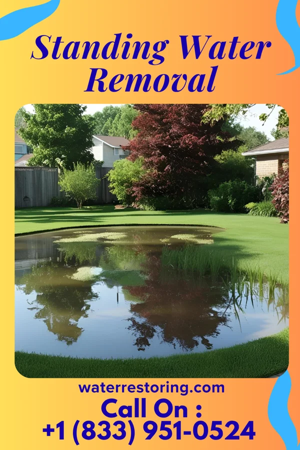 Standing Water Removal in Birmingham, MI